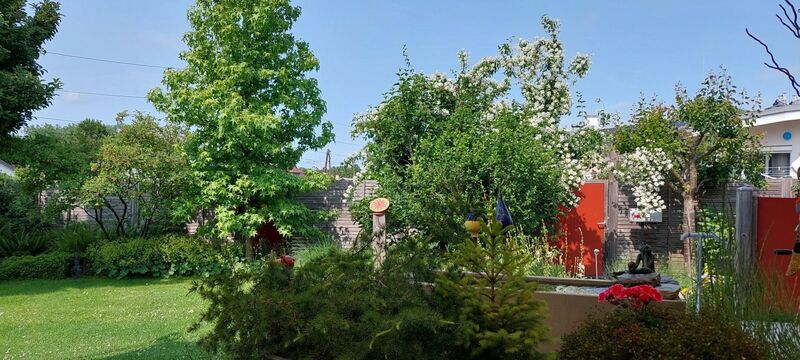 Schönstes Gartenfoto 2025 - Franziska aus Linz-Land