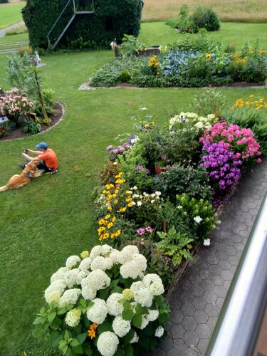 Schönstes Gartenfoto 2025 - Elisabeth aus Rohrbach