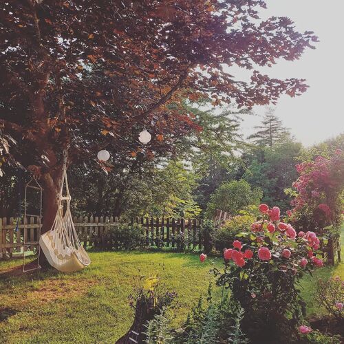 Schönstes Gartenfoto 2025 - Rita aus Urfahr-Umgebung