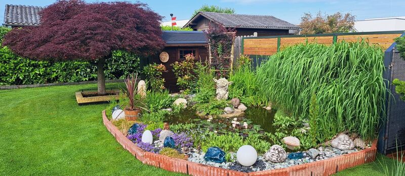 Schönstes Gartenfoto 2025 - Eveline aus Wels