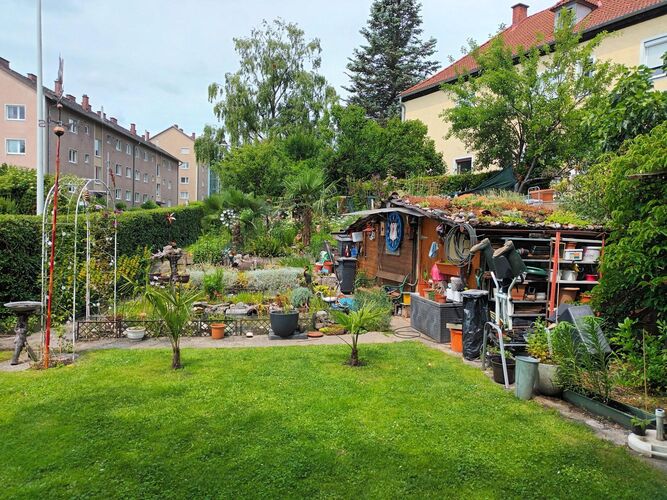 Schönstes Gartenfoto 2025 - Peter aus Linz