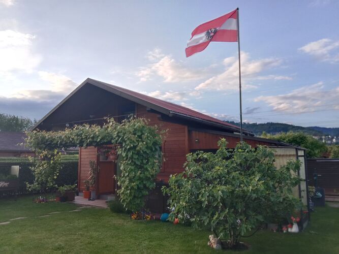 Schönstes Gartenfoto 2025 - Enes aus Urfahr-Umgebung
