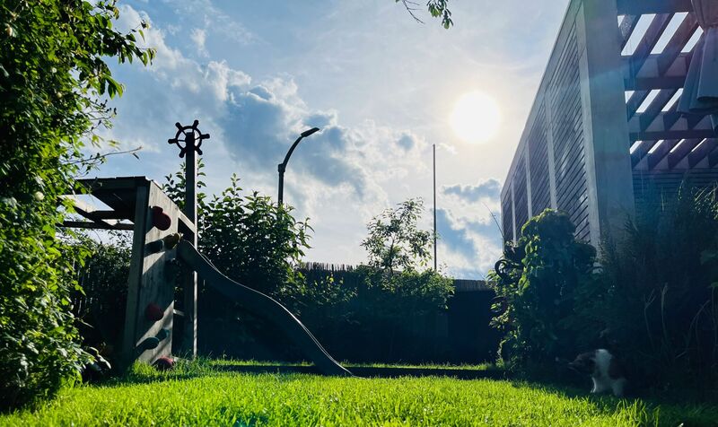 Schönstes Gartenfoto 2025 - Michaela aus Steyr