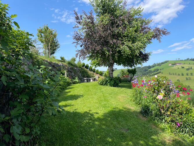 Schönstes Gartenfoto 2025 - Elisabeth aus Steyr