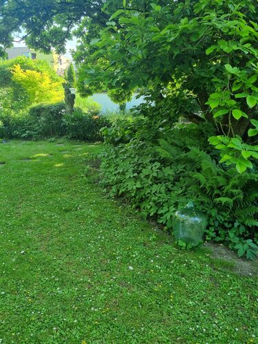 Schönstes Gartenfoto 2025 - Veronika aus Schärding