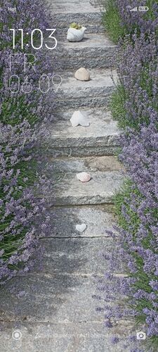 Schönstes Gartenfoto 2025 - Christian aus Braunau