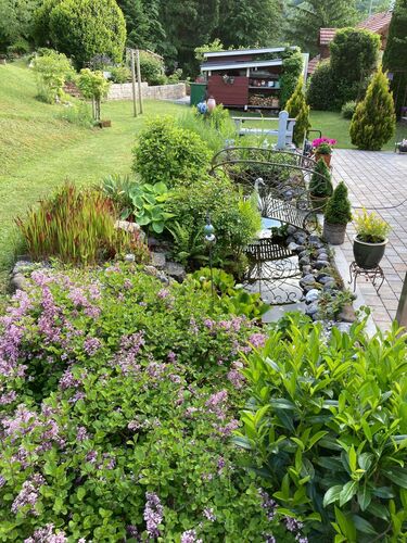 Schönstes Gartenfoto 2025 - Horst aus Kirchdorf