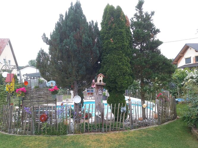 Schönstes Gartenfoto 2025 - Walter aus Steyr