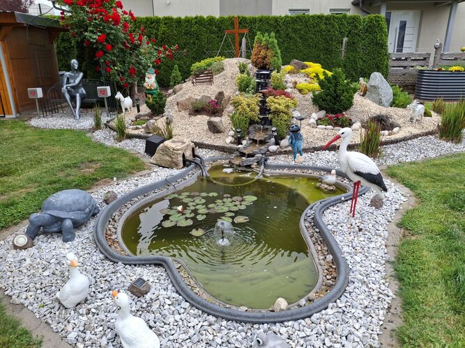 Schönstes Gartenfoto 2025 - Helmut aus Wels