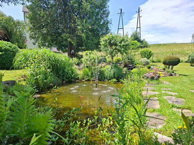 Schönstes Gartenfoto 2025 - Manfred aus Vöcklabruck