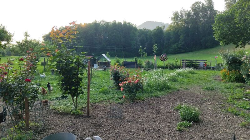 Schönstes Gartenfoto 2025 - Michelle aus Gmunden