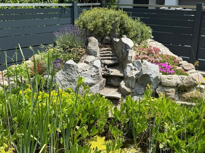 Schönstes Gartenfoto 2025 - Karl aus Linz