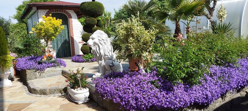 Schönstes Gartenfoto 2025 - Anneliese aus Grieskirchen