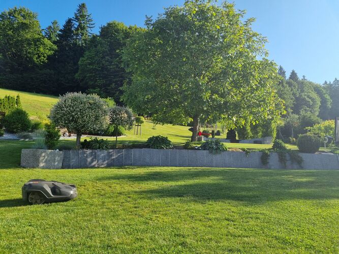 Schönstes Gartenfoto 2025 - Viktoria aus Rohrbach