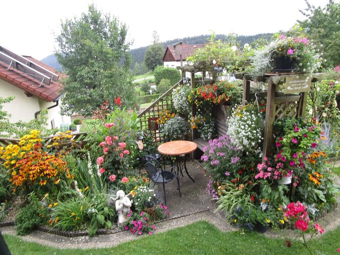 Schönstes Gartenfoto 2025 - Annalena aus Freistadt