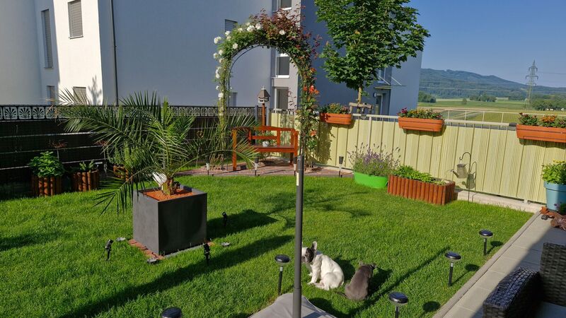 Schönstes Gartenfoto 2025 - Katarina aus Gmunden