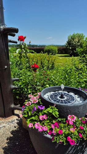 Schönstes Gartenfoto 2025 - Anita aus Schärding