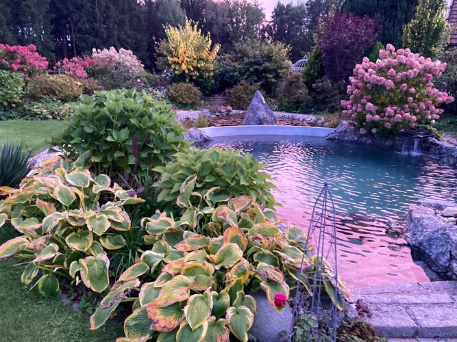 Schönstes Gartenfoto 2025 - Brigitta aus Freistadt