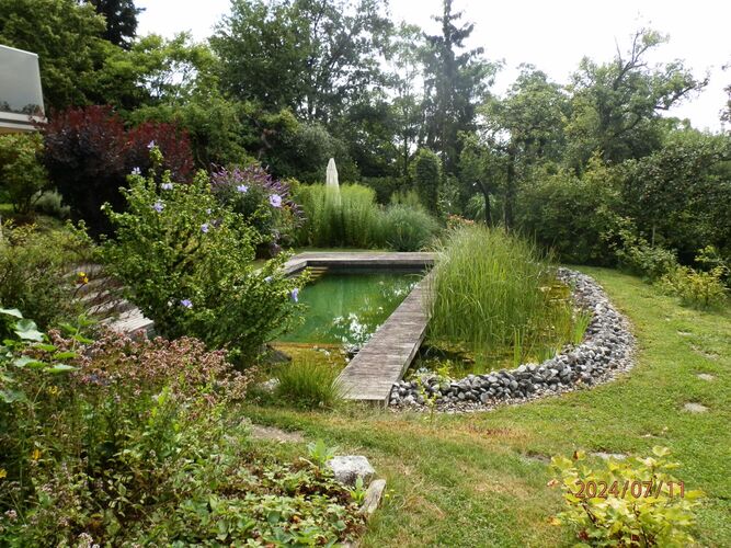 Schönstes Gartenfoto 2025 - Manfred aus Linz