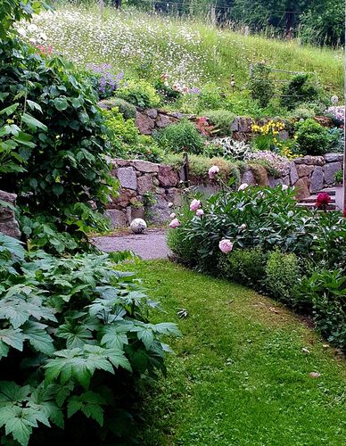 Schönstes Gartenfoto 2025 - Elisabeth aus Kirchdorf