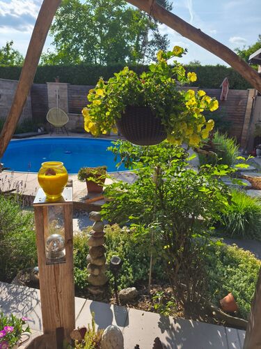 Schönstes Gartenfoto 2025 - Barbara aus Eferding