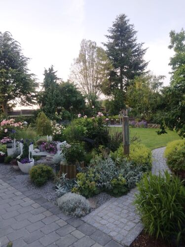 Schönstes Gartenfoto 2025 - Anneliese aus Ried