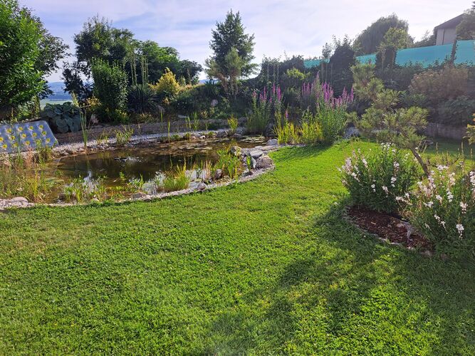 Schönstes Gartenfoto 2025 - Martina aus Rohrbach