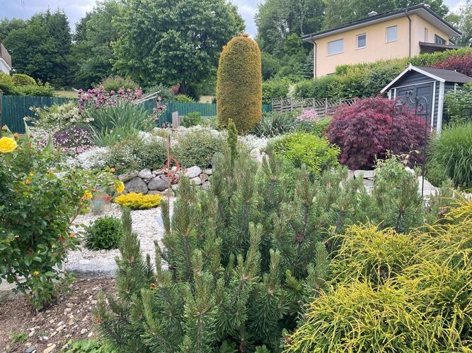 Schönstes Gartenfoto 2025 - Maria aus Schärding