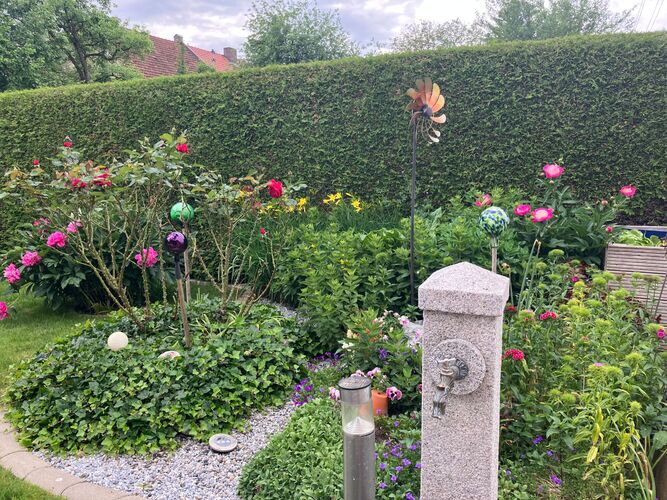 Schönstes Gartenfoto 2025 - Hildegard aus Wels