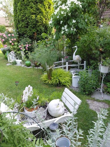 Schönstes Gartenfoto 2025 - Ingrid aus Wels