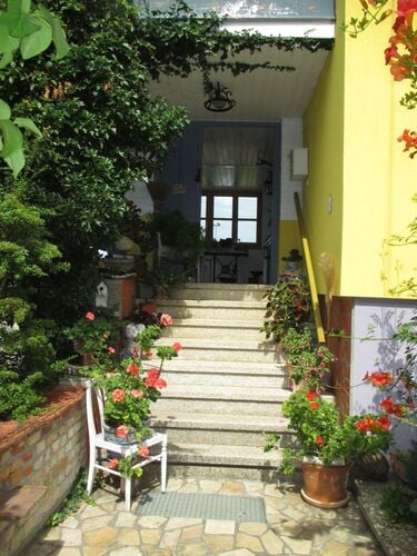 Schönstes Gartenfoto 2025 - Hana aus Linz-Land