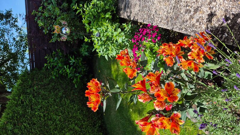 Schönstes Gartenfoto 2025 - Sigrid aus Gmunden