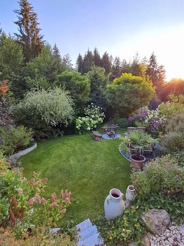 Schönstes Gartenfoto 2025 - Marius aus Schärding