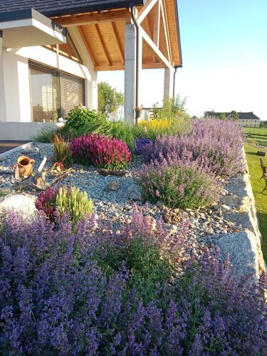Schönstes Gartenfoto 2025 - Doris aus Amstetten
