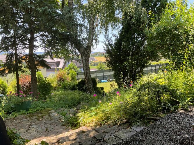 Schönstes Gartenfoto 2025 - Dieter aus Amstetten