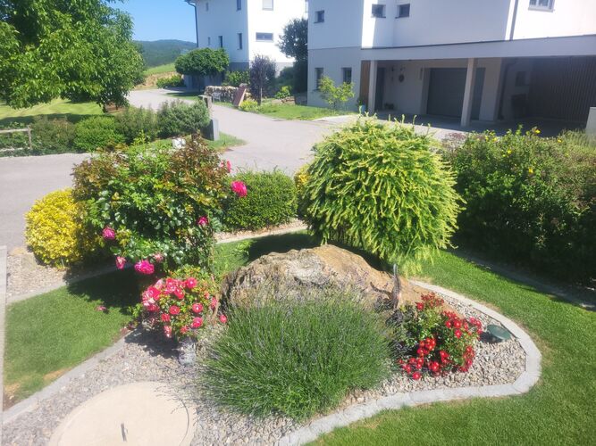 Schönstes Gartenfoto 2025 - Gerhard aus Urfahr-Umgebung