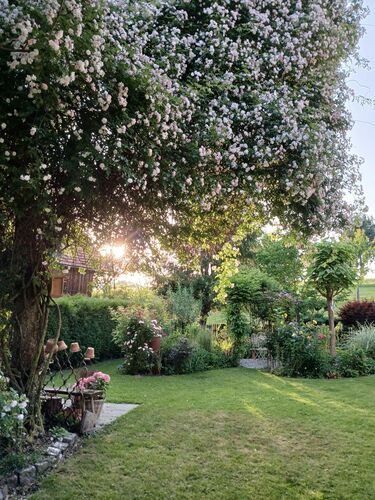 Schönstes Gartenfoto 2025 - Marion aus Grieskirchen