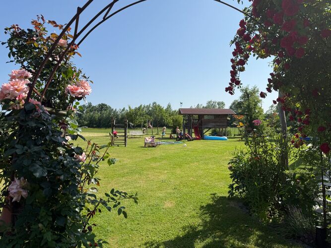 Schönstes Gartenfoto 2025 - Robert aus Ried