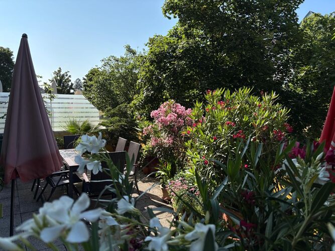 Schönstes Gartenfoto 2025 - Karl aus Linz-Land