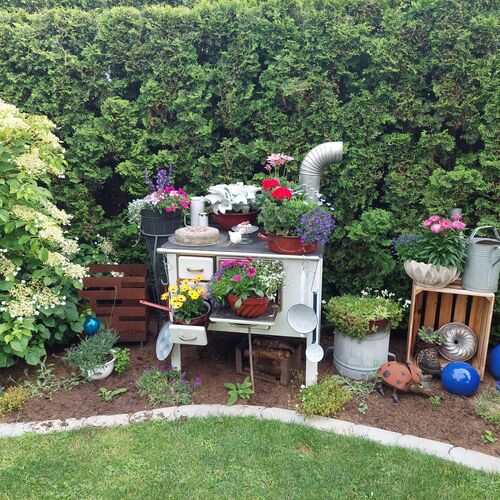 Schönstes Gartenfoto 2025 - Claudia aus Wels