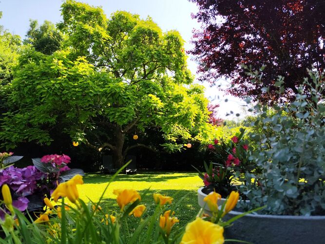 Schönstes Gartenfoto 2025 - Laura aus Amstetten