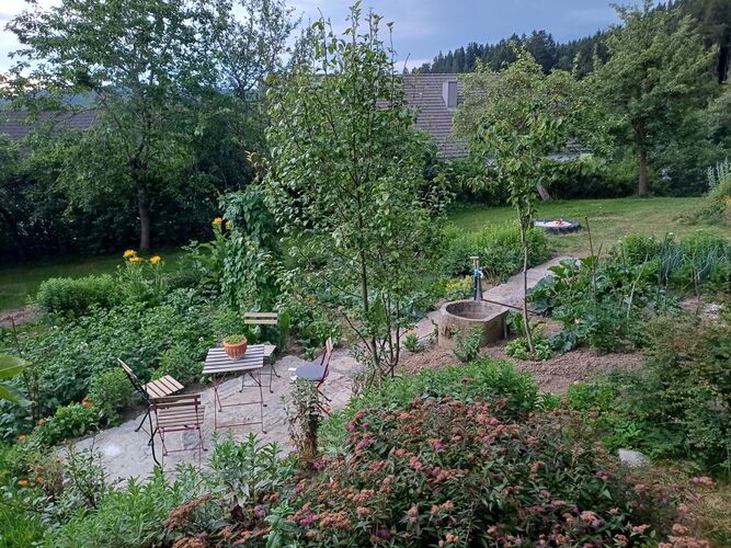 Schönstes Gartenfoto 2025 - Stefan aus Freistadt