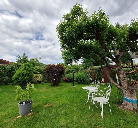 Schönstes Gartenfoto 2025 - Christina aus Linz