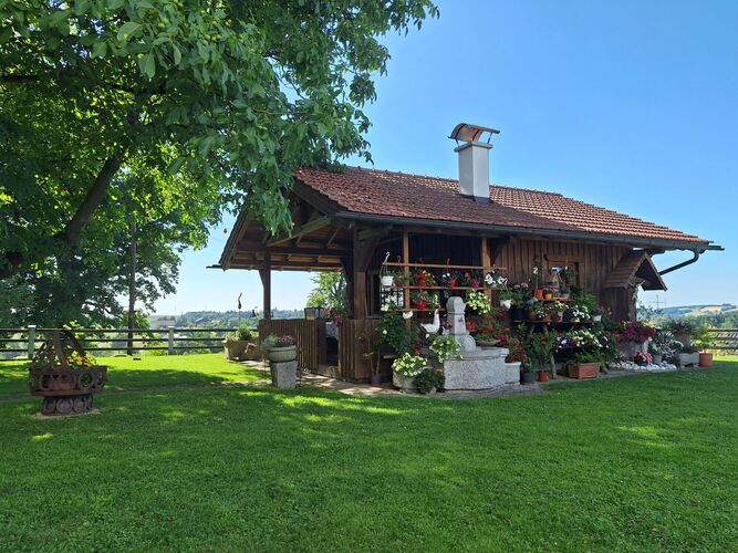 Schönstes Gartenfoto 2025 - Leopold aus Ried