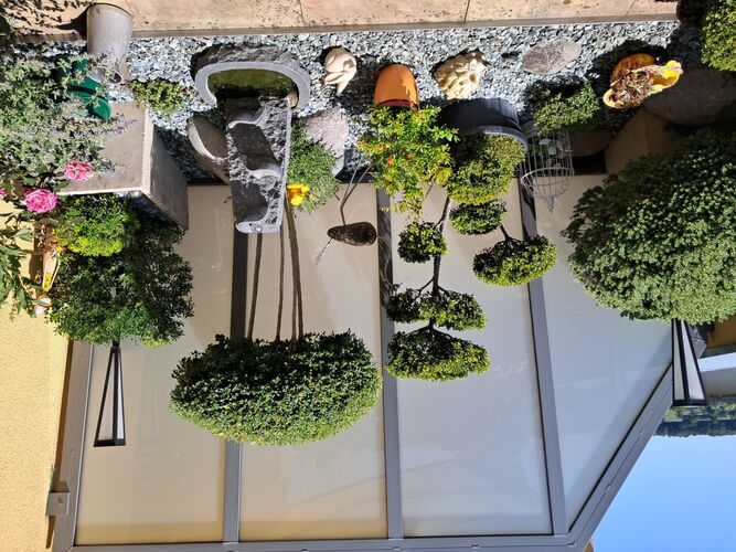 Schönstes Gartenfoto 2025 - Mladen aus Steyr