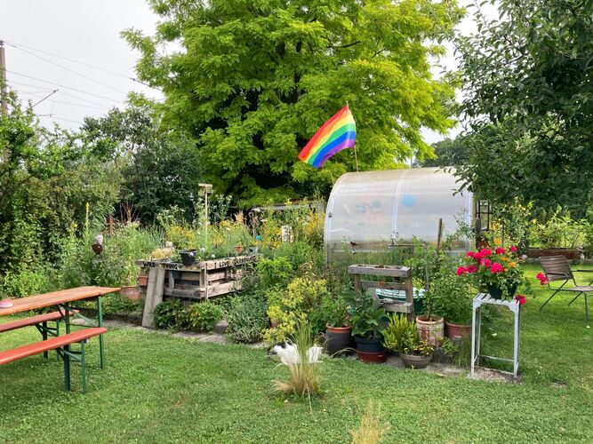 Schönstes Gartenfoto 2025 - Doris aus Steyr