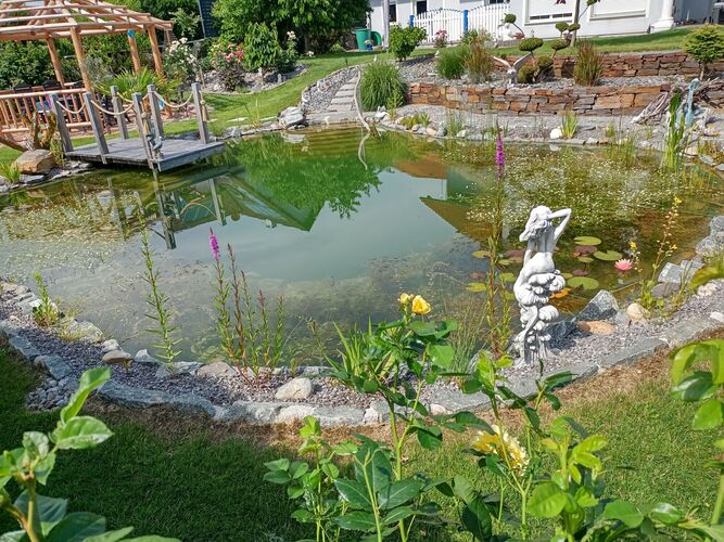 Schönstes Gartenfoto 2025 - Wolfgang aus Perg