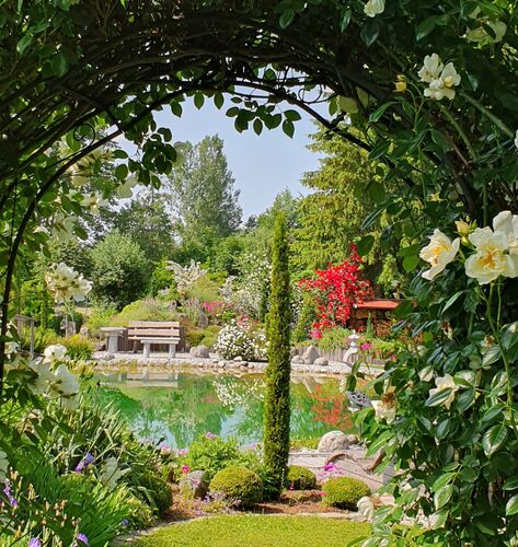 Schönstes Gartenfoto 2025 - Anneliese aus Kirchdorf