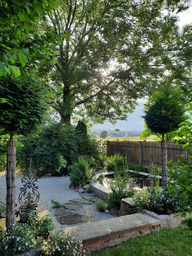 Schönstes Gartenfoto 2025 - Margit aus Schärding