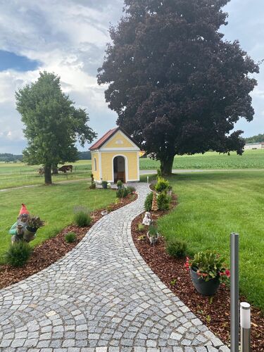 Schönstes Gartenfoto 2025 - Elfriede aus Braunau